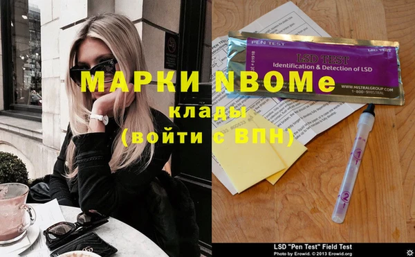 хмурый Алзамай