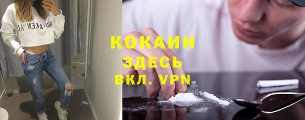 хмурый Алзамай