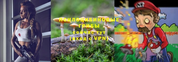 хмурый Алзамай