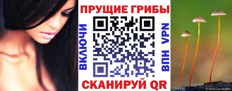 Псилоцибиновые грибы Magic Shrooms  закладки  Чехов 